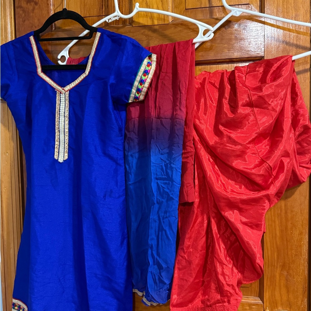 Blue and Red Traditional Punjabi Suit
